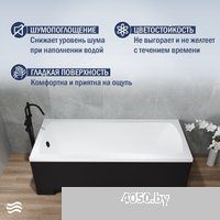 Lauter Bianca 160х70 21207160 (с каркасом, черным подголовником, черным лицевым и торцевым экраном)