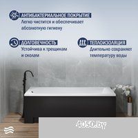 Lauter Amelia 150 21204050 (с ножками, черным подголов., черным лиц. и торц.экраном)