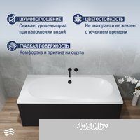 Lauter Ava 150 21208050 (с каркасом, черным подголовником, черным лиц. экраном)