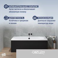 Lauter Ava 170 21208070 (с каркасом и черным подголовником)