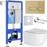 Roxen Vortex в комплекте с инсталляцией StounFix Dual Fresh 6 в 1 968090 (кнопка: брашированное золо