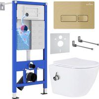 Roxen Antares Bidet в комплекте с инсталляцией StounFix Dual Fresh 6 в 1 968099 (кнопка: брашированн