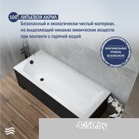 Lauter Amelia 140х70 21204040 (с ножками, лицевым черным и торцевым экраном)