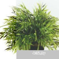 Triton Дека-Блэк 90x90 (черный, с поддоном)