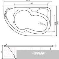 Lauter Geneva 170x105 2103170R (с ножками)