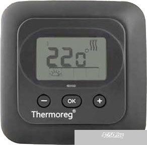 Терморегулятор Thermoreg TI 900