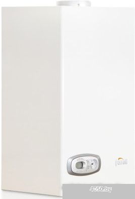 Отопительный котел Ferroli Divatech D HF32