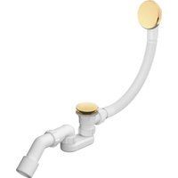 Wellsee Useful Extras 231915000 (белый/золото)