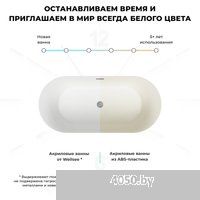 Wellsee Chalice Perfection 166x77 230601002 (отдельностоящая ванна белый глянец, экран, ножки, сифон