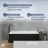 Lauter Estelle 170 21206070 (с каркасом, лицевым экраном черного цвета)