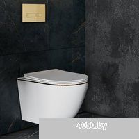 Roxen Antares Gold 968096 в комплекте с инсталляцией StounFix Dual Fresh 6 в 1 968096 (кнопка: браши