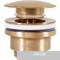 Hansberge H107 (золото матовый)