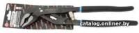 FORSAGE F-613G250