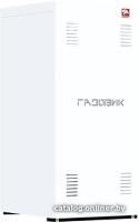 Отопительный котел Лемакс Газовик АОГВ-23.2