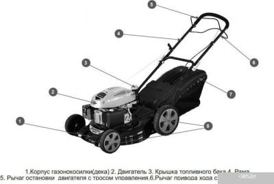Колёсная газонокосилка Champion LM4630