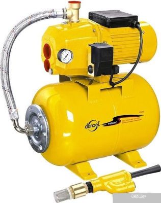 Насос Denzel PSD800C