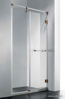 Душевая дверь RGW VI-01 120 см