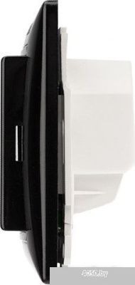 Терморегулятор Rexant RX-419B 51-0818 (черный)