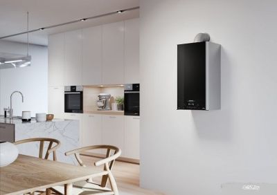 Отопительный котел Ariston Alteas XC 35 FF 3301672