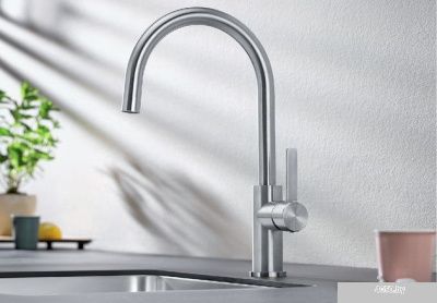 Смеситель Blanco Candor 523120 (нержавеющая сталь)