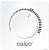 Терморегулятор Caleo C450