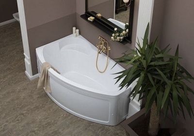 Ванна Aquanet Sofia 170x100 L