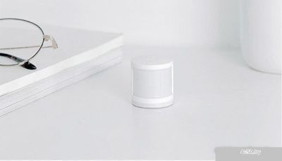 Xiaomi MiJia Human Body Sensor (международная версия)
