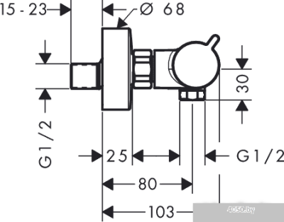 Hansgrohe Ecostat 13116700