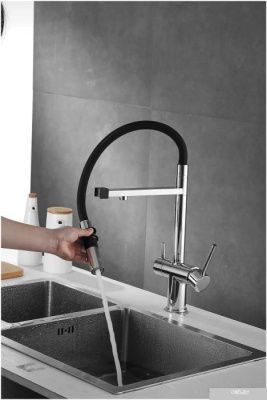 Rose R958 (хром)