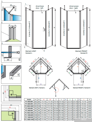 Radaway Nes PTJ Door L