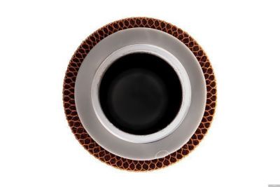 Гейзер Арагон Макс