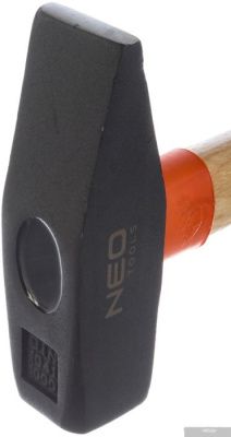 NEO 25-013