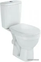 Rosa Рим (белый)