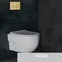 Roxen Porto в комплекте с инсталляцией StounFix Dual Fresh 6 в 1 968069 (кнопка: брашированное золот