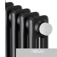 Royal Thermo Insignia VC2180 - 04 секций RAL9005m