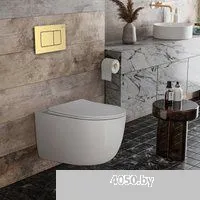 Roxen Vortex в комплекте с инсталляцией StounFix Dual Fresh 6 в 1 968483 (кнопка: брашированное золо