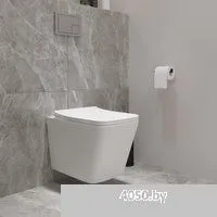 Lauter Square 214903 с кнопкой 219701E (круглая, хром)