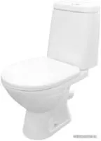 Rosa Сканди Люкс (белый)