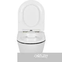 Roxen Antares Black в комплекте с инсталляцией StounFix Dual Fresh 6 в 1 964681 (кнопка: черный мато