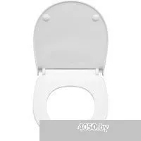 Roca Victoria 7342399000 + 734139Z000 + 801392002 (Slim с микролифтом)