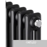 Royal Thermo Insignia C2180 - 06 секций RAL9005m