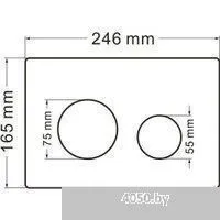 Abber Rechteck AC1201-AC0105-AC0121RG (с кнопкой смыва)