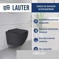 Lauter Augsburg 21109EC + 21901002 (кнопка круглая, черный)