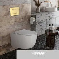 Roxen Vortex в комплекте с инсталляцией StounFix Dual Fresh 6 в 1 968483 (кнопка: брашированное золо