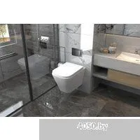 Abber Rechteck AC1201-AC0105-AC0121 (с кнопкой смыва)