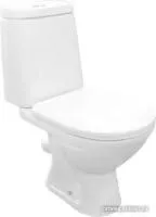 Rosa Сканди (белый)