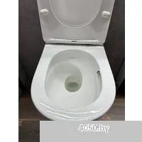 Roxen Vortex в комплекте с инсталляцией StounFix Dual Fresh 6 в 1 966745 (кнопка: бежевый)