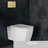 Roxen Сube в комплекте с инсталляцией StounFix Dual Fresh 6 в 1 968065 (кнопка: брашированное золото