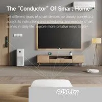 Xiaomi Smart Multi Mode Gateway 2 DMWG03LM (китайская версия)