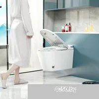 Abber Bequem AC1119S-AC0101P (с импульсным смывом)